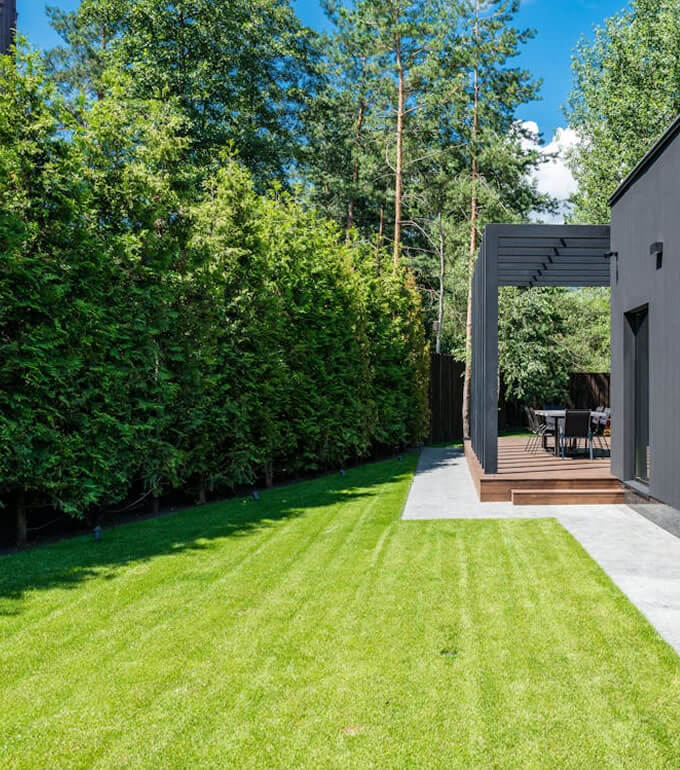 trees and grass image