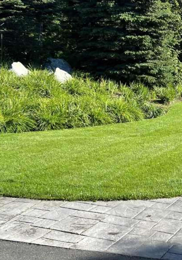 lawn image